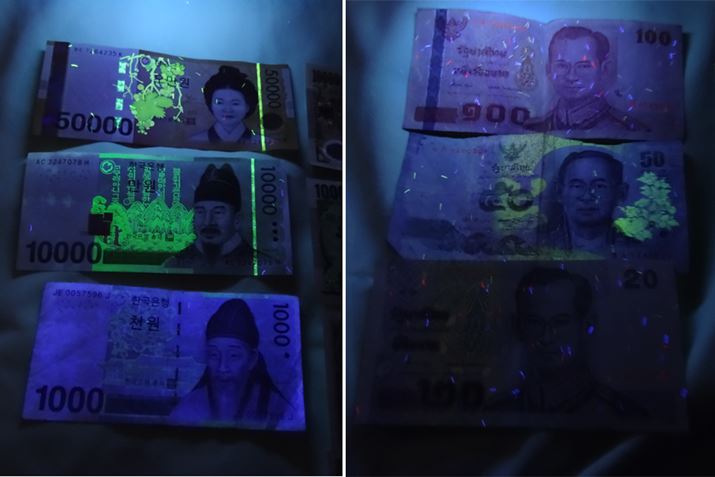 ǂ̍̎ǂȂĂ̂A炩ߊm߂ĂsƂł傤