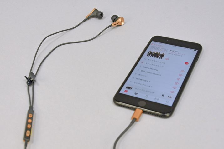 iPhone 7Ƒgݍ킹ARAYZ Plus̑≹`FbNĂ݂