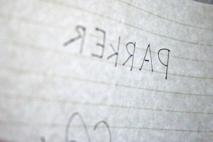 �M�������ɂ����̂ł����A���������Ɨ��ʂ肷�銴���ł���