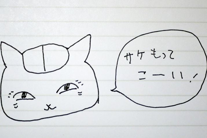 �����l�̃X�^�C���ɂ���ăy���悪�ς��Ƃ����̂����͓I�ł���