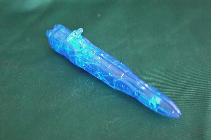 �M�~�b�N������K���v�����B������́u�p�g�D�[���A�v�͐�[�������c