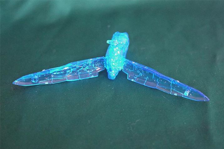 �I�[�v����Ԃɂ��邱�Ƃ��ł��܂�