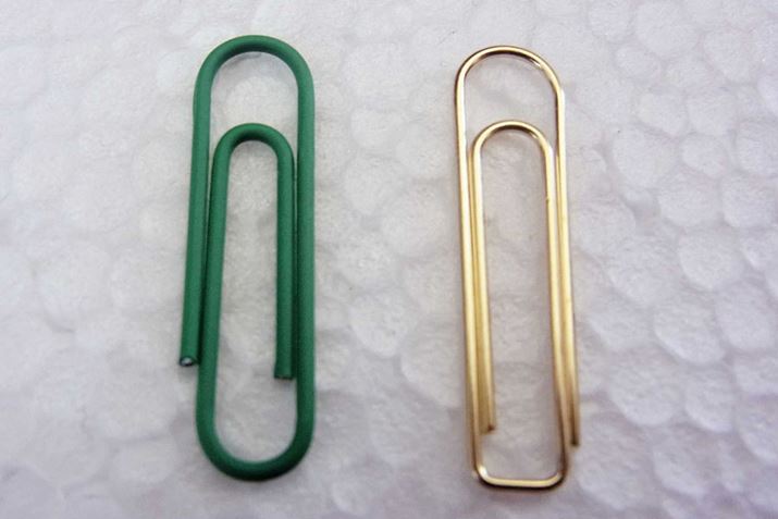 FƃlMFNbv̑傫͂قړłA`͎኱Ⴄ悤ł