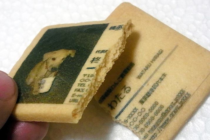 ƂȊBÂT߂őfpȖ킢ł