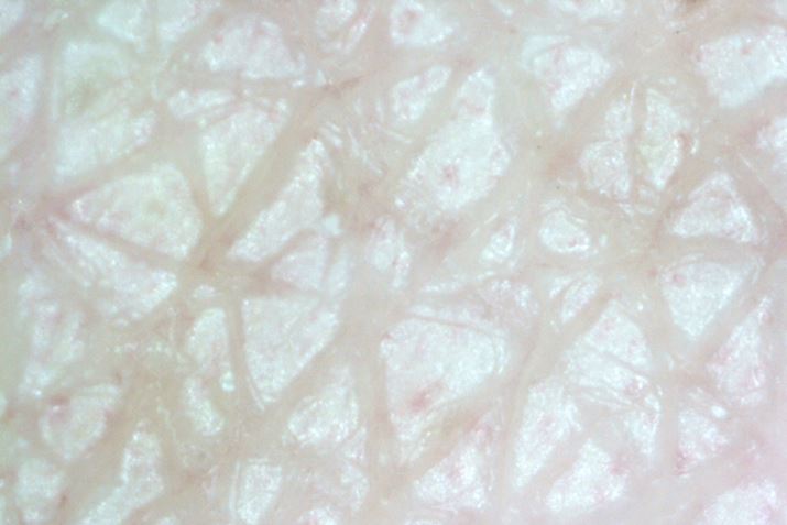 V~̏ŁuACPA[U[vgpAɊg債BԂ|c|cƂ܂