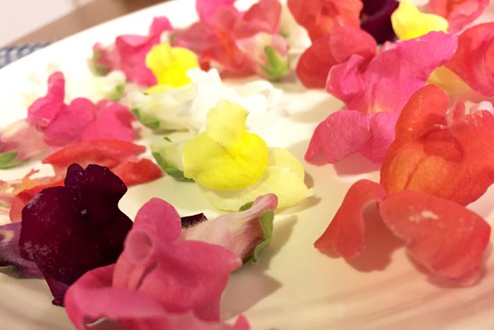 p̓XibvhSƂԂłA{ł́uvƂĂ邨Ԃł