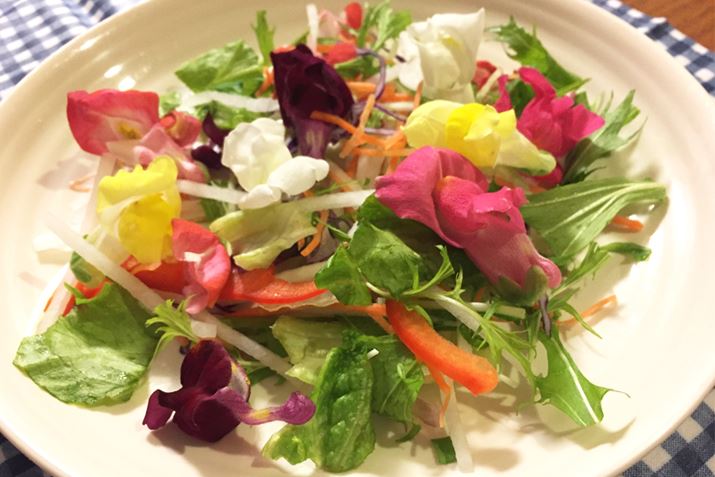 킢I Ȃ̃JtFŏoĂ珗q̓eVオĂ܂܂I