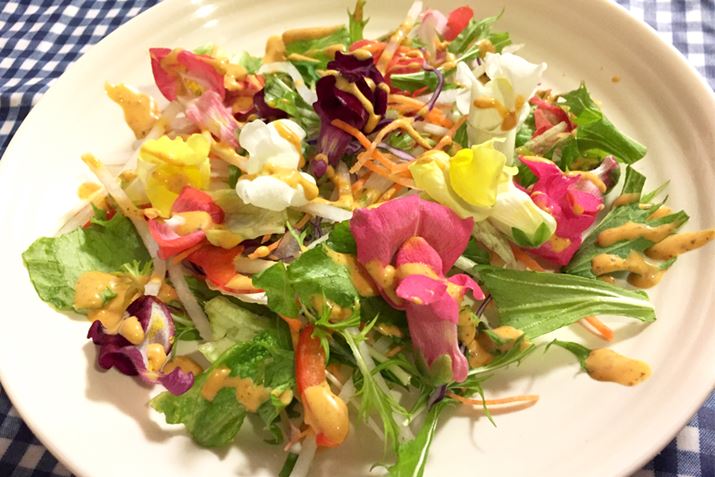 RuT_̃hbVOāAHׂĂ݂Ǝv܂I