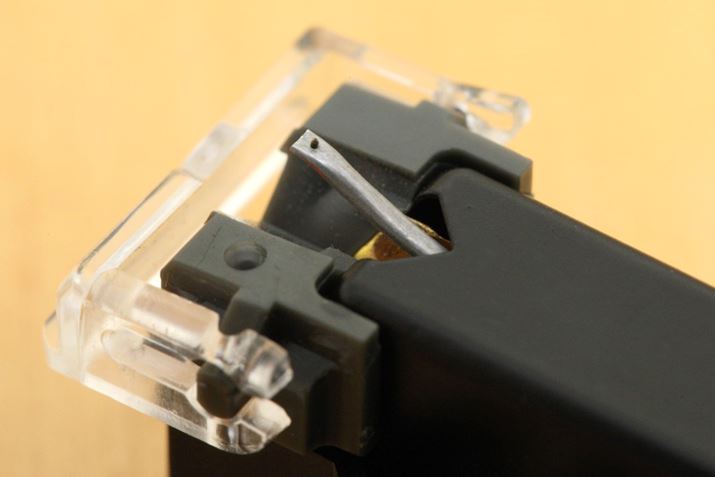 ׂĵ悤ɔяoĂ̂J`o[ŁA̐ɕtĂ̂jiX^CXj