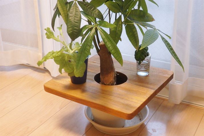 2cm݂̌͂Bߓxɏd̂łȂ΁AɍڂĂ|邱Ƃ͂܂