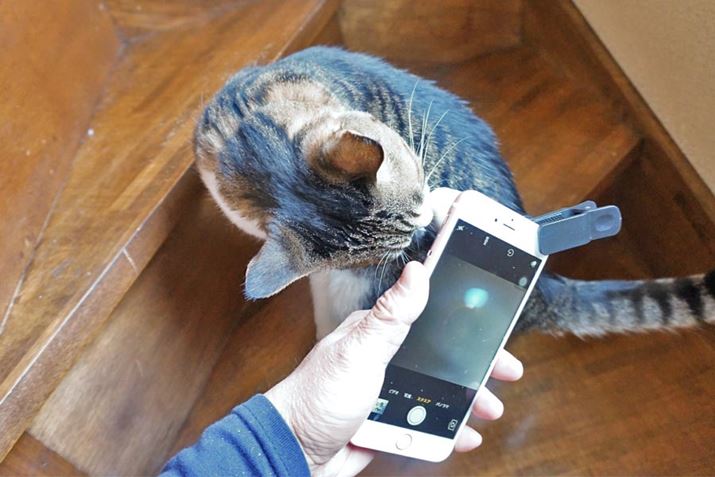 AʃmƂł₽ƌx܂蓦܂őςł