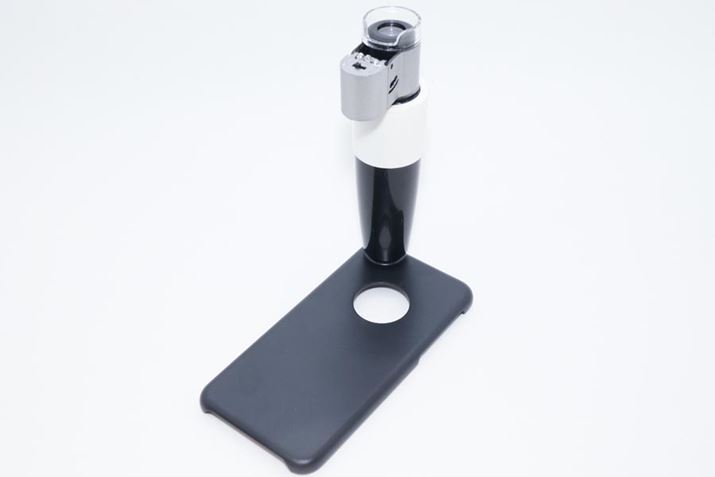 iPhone 6/6s͂̎̕t@xXgł