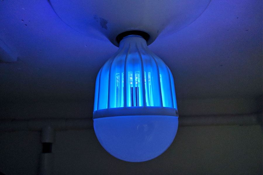 LED電球に「殺虫灯」が合体! 虫をバチッと退治するアレが家でできちゃう LED電球に「殺虫灯」が合体! 虫をバチッと退治するアレが家でできちゃう
