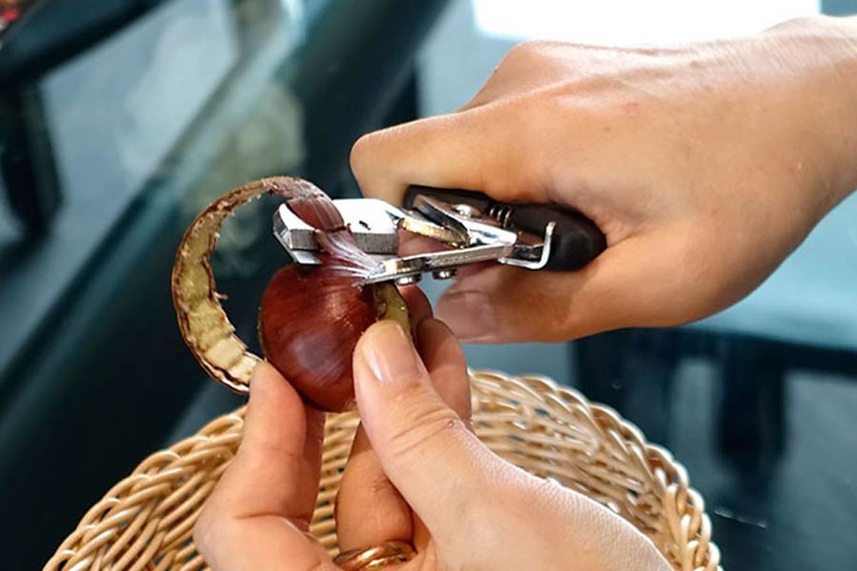 硬 い栗の皮をサクサクむける 栗むき専用器が便利すぎる 価格 Comマガジン