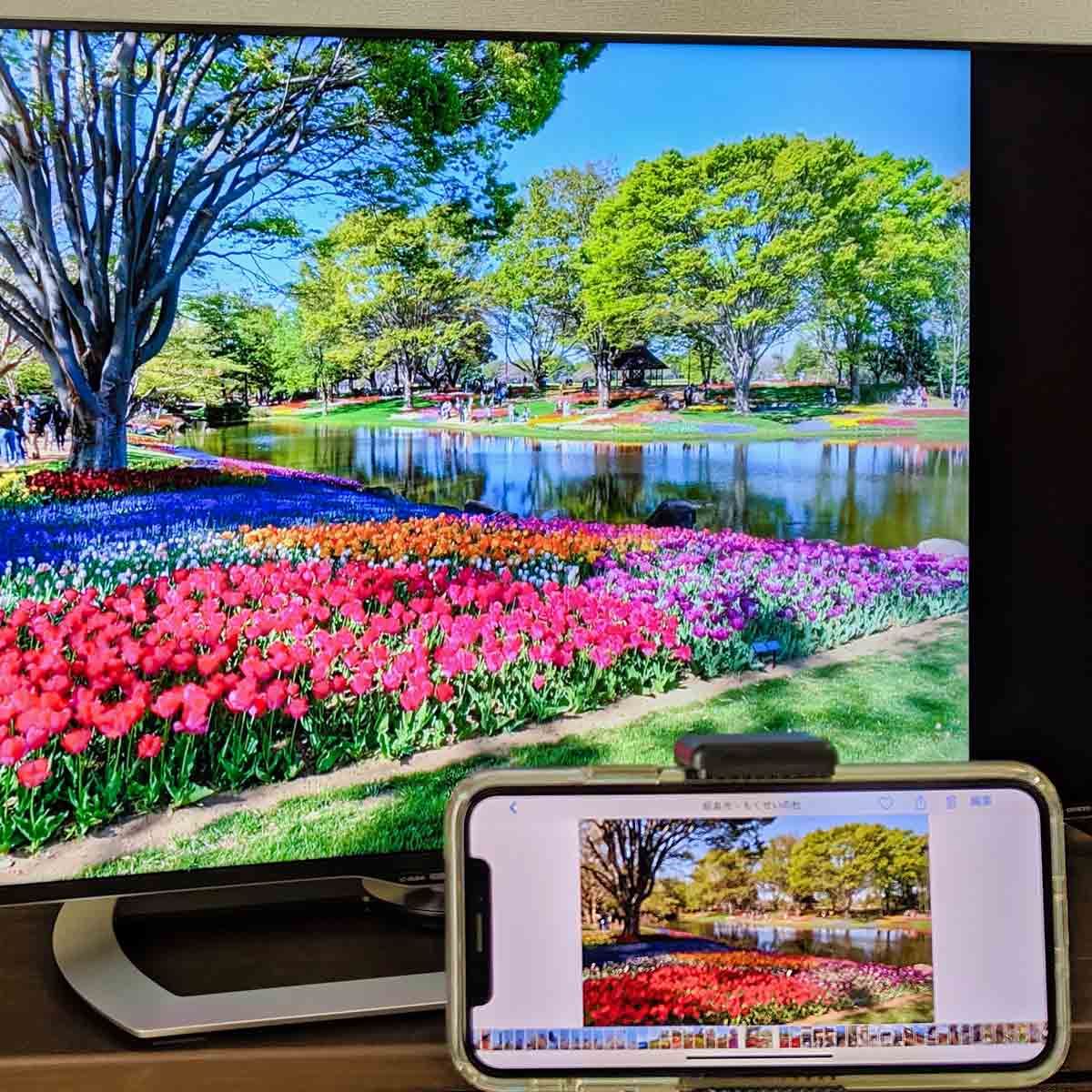 Iphone Ipadの画面をテレビに映す 有線 無線による接続方法を徹底解説 価格 Comマガジン