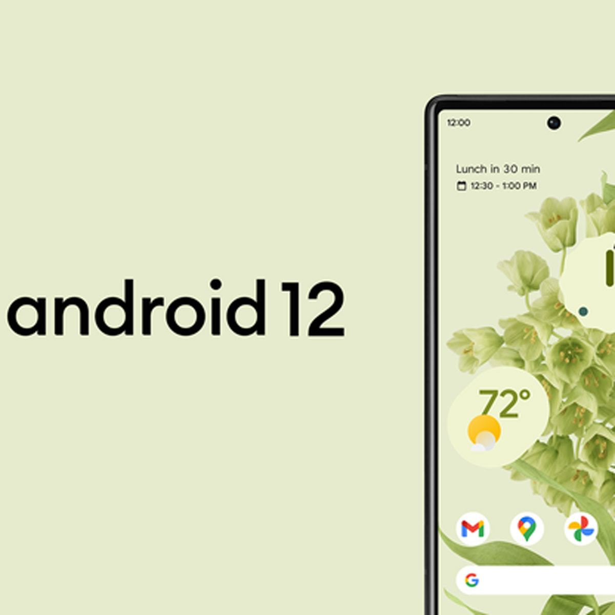 新デザイン採用のandroid 12が Pixel 3 シリーズ以降でdl可能 価格 Comマガジン