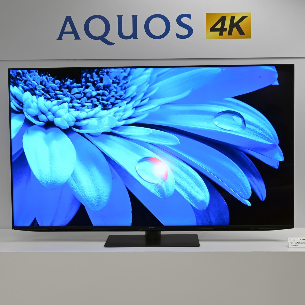 SHARP 液晶テレビ AQUOS 4T-C50EL1 2022製 ジャンク品 - テレビ