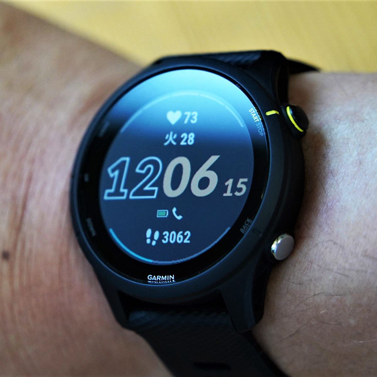 Garmin forerunner255