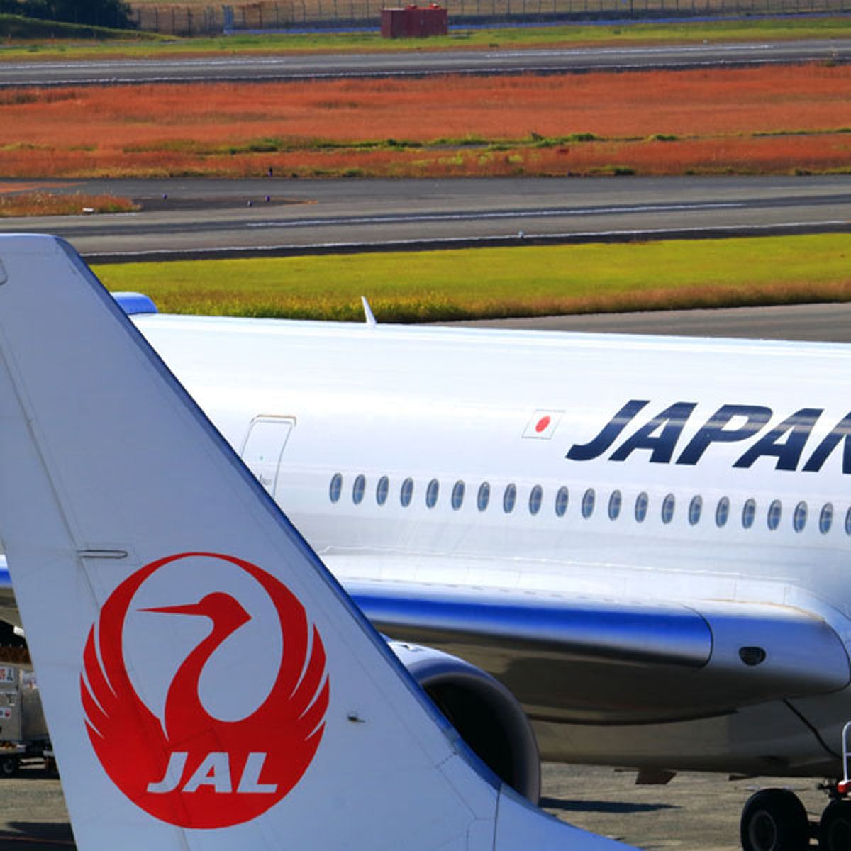 JAL マイル加算 20000 マイル 複数可 日本航空 マイレージクラブ マイル 移行 - 乗車券、交通券