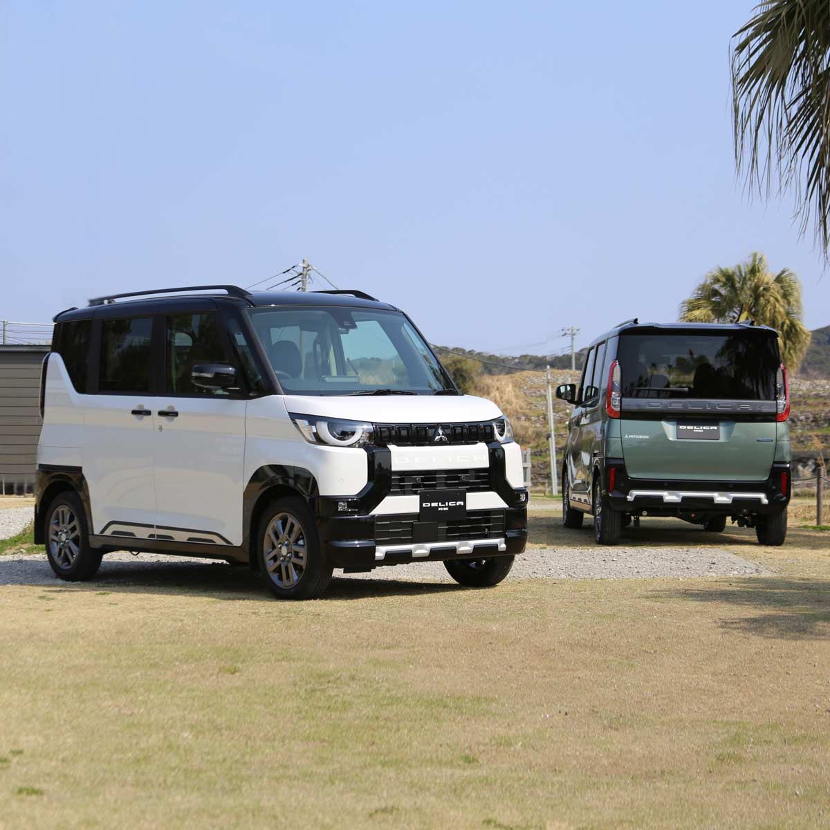 車名には深いワケが! 三菱「デリカミニ」の魅力をじっくり解説 - 価格