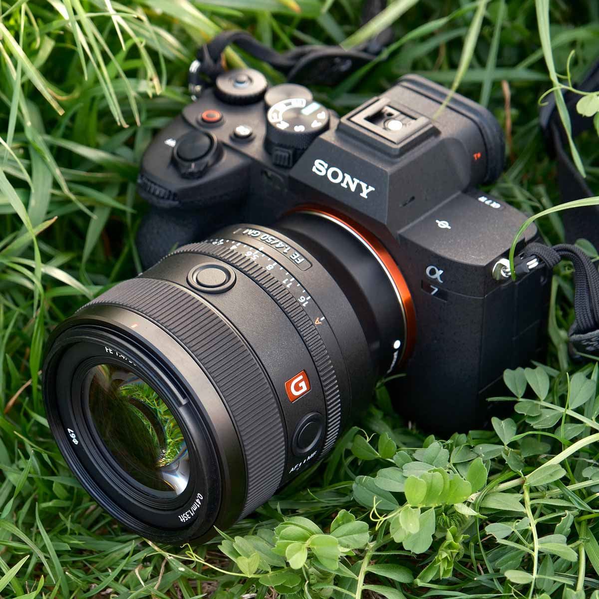 SONY FE 50mm F1.4 GM　SEL50F14GM