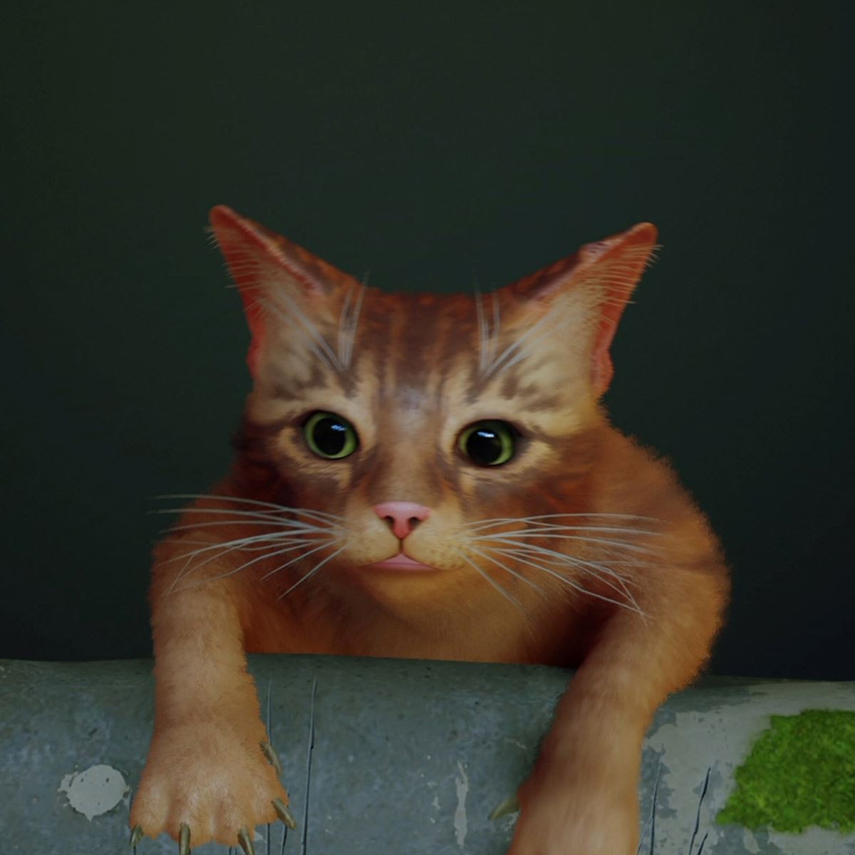 ねこくんの虜様専用 ねこくんの虜様専用