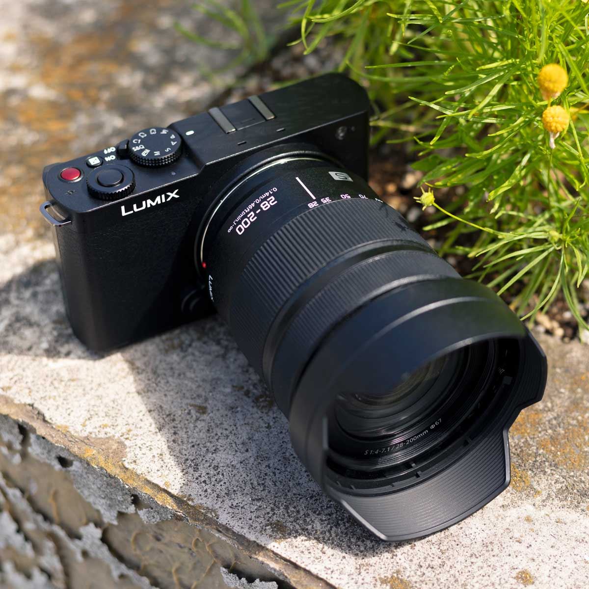 小型・軽量フルサイズ「LUMIX S9」とともに新緑美しい北鎌倉の古寺を巡る - 価格.comマガジン