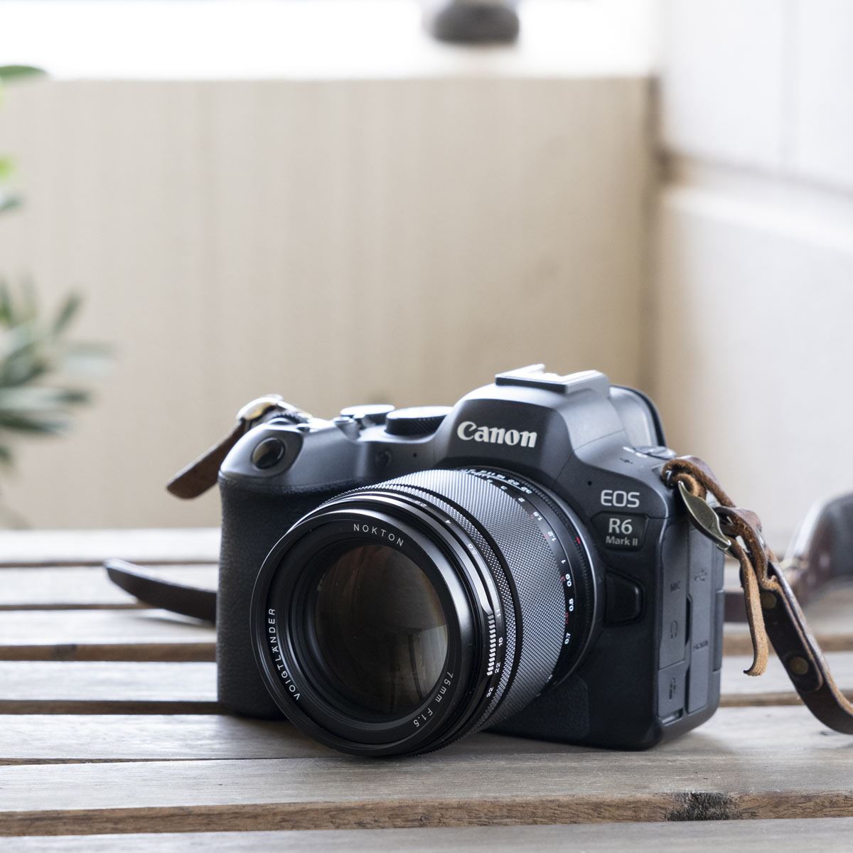 Canon純正 50mm F2.5 美品 a3865 61oIJtT4WHL._UF894,1000_QL80_.jpg