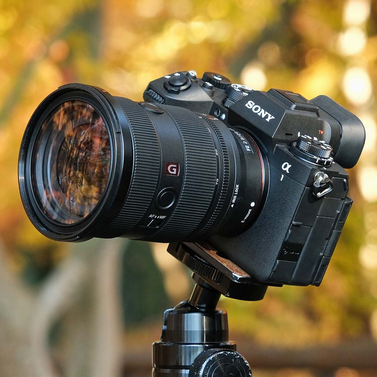 ソニー新フラッグシップ「α1 II」レビュー！ 動体撮影機としての進化を