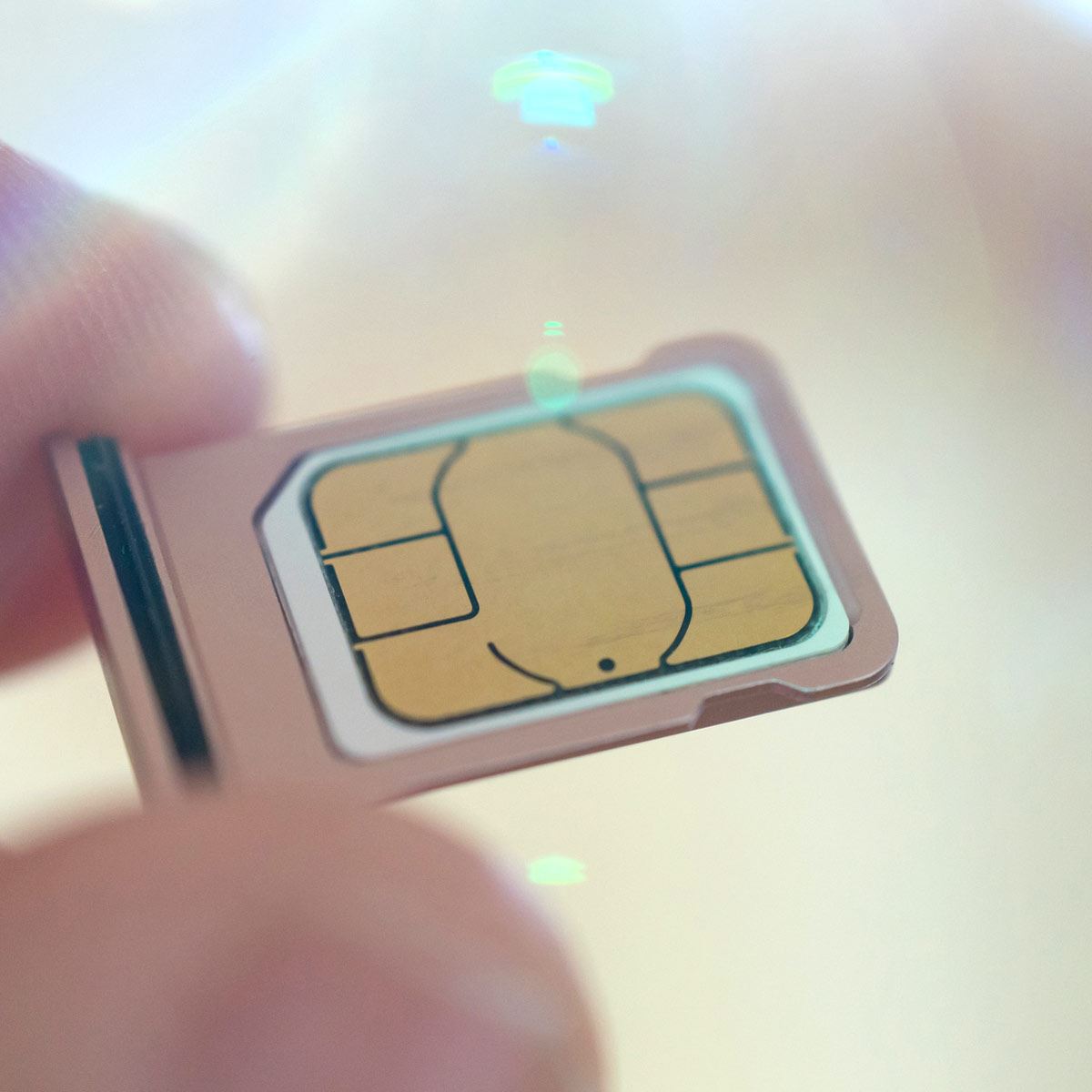 おすすめの無制限格安SIMは「楽天モバイル」一択！ 大容量プランも解説 