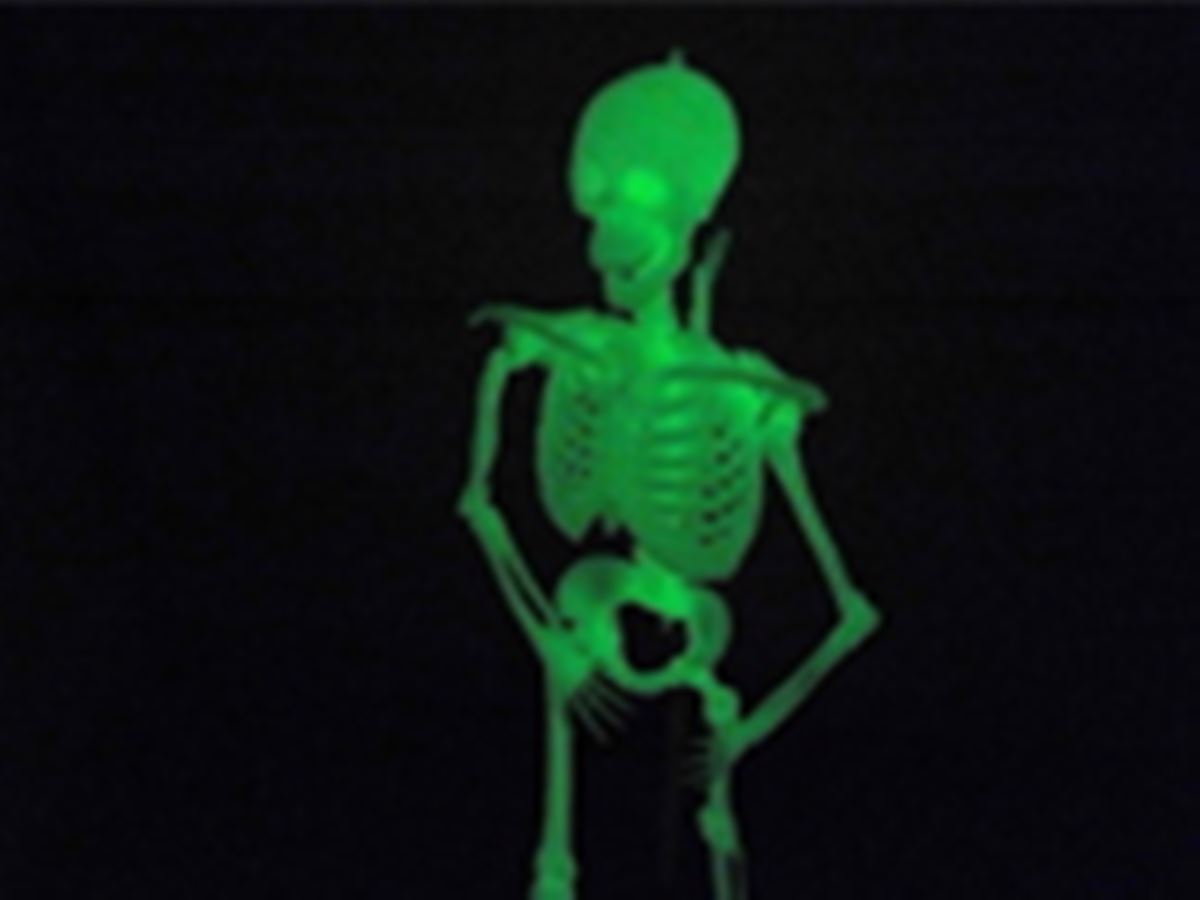 肝試しの定番「骨格模型」がプラモデルに。しかも光ります。 - 価格