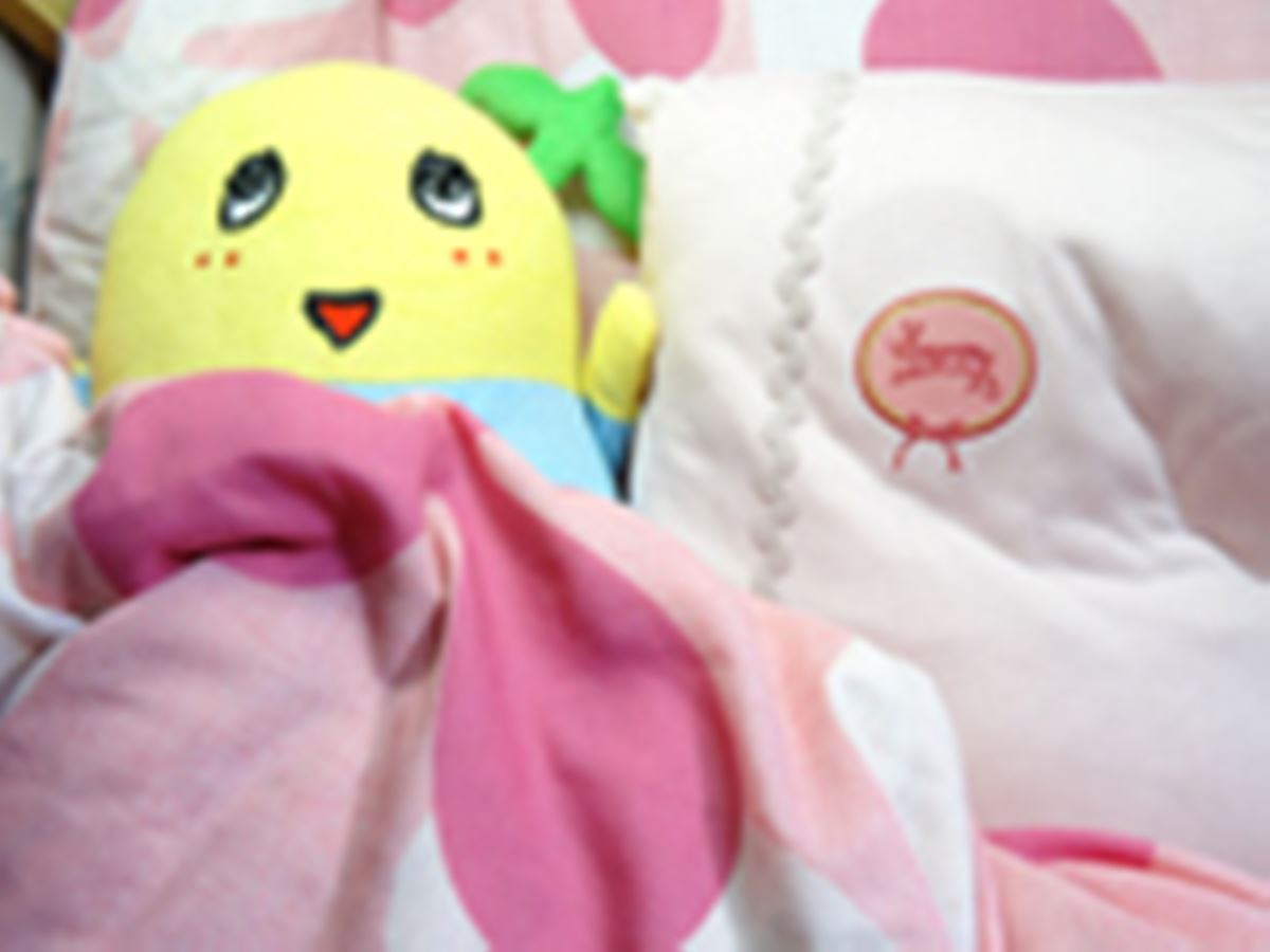 ふなっしーラブ！ あの大人気の梨の妖精を抱きしめて眠る幸せ