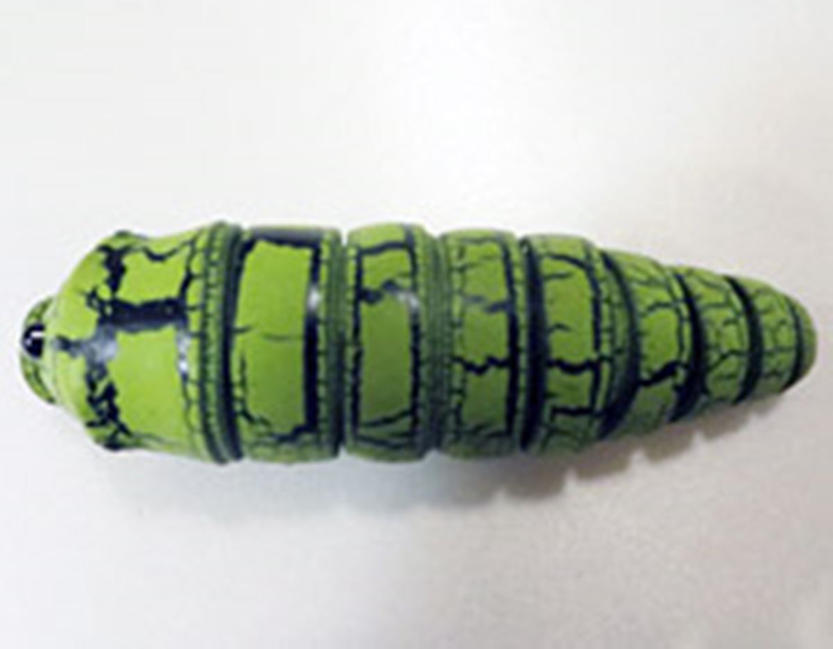 イモムシ品 thumbnail_l.jpg