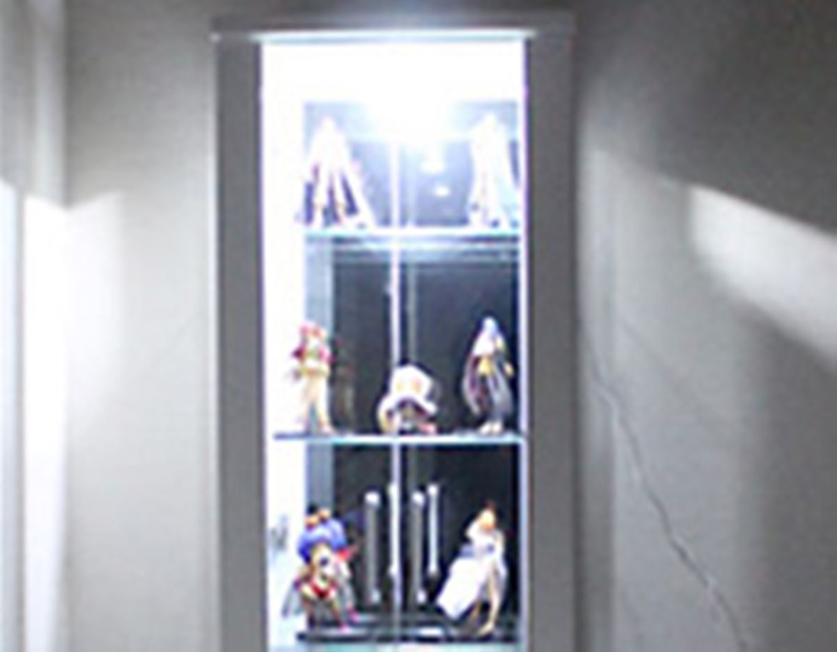 丸藤の意外な趣味 集めたフィギュアを美しく収納できるケース 価格 Comマガジン