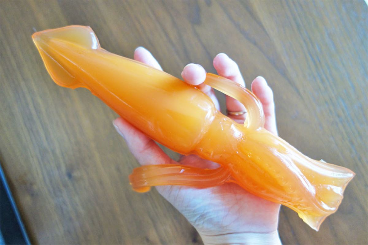 さかなクン監修。全長23cmの巨大な魚介類グミを作ろう！ - 価格.com