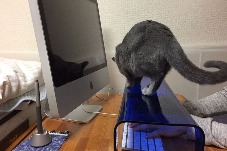 猫の襲撃からキーボードを守る 専用カバーにちょっと罪悪感 価格 Comマガジン