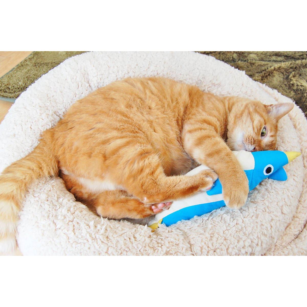 猫が喜ぶおもちゃはこれ！ 試してわかった傑作猫用グッズ20選【猫を愛するすべての人へ】 - 価格.comマガジン