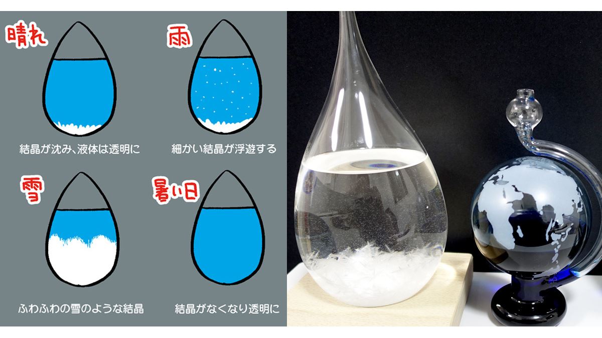 時雨予報グラス オファー