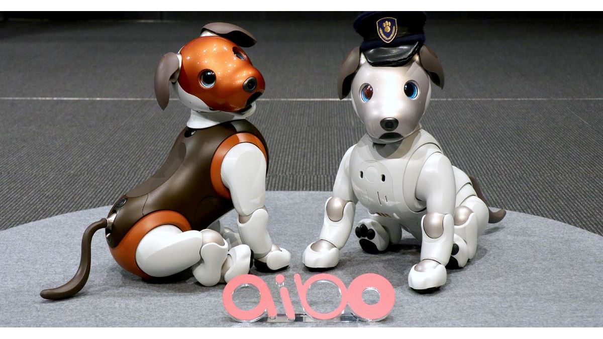 aibo」が番犬に！？ 新サービス「aiboのおまわりさん」が安心で