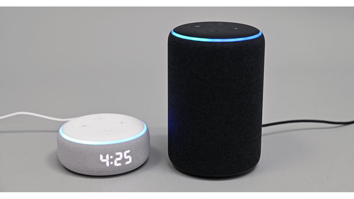 Echo Dot 第3世代 ヘザーグレー 悲しく