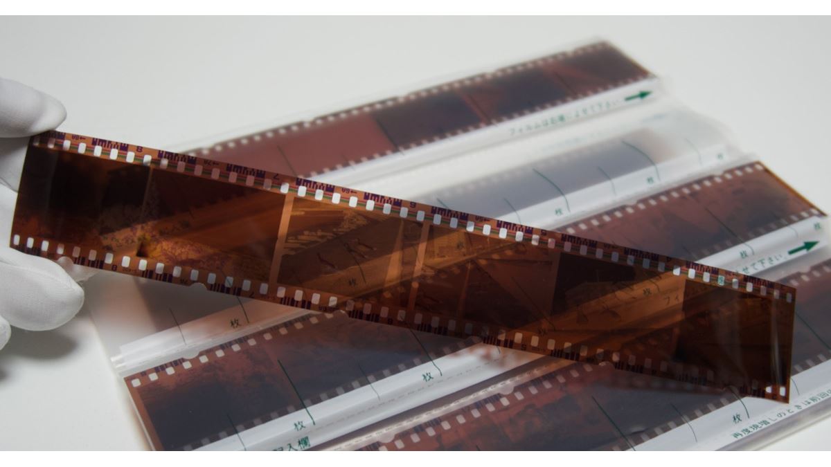 フィルム写真の魅力を再発見！ 自宅スキャン楽ちんスタートガイド