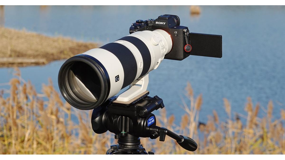 ソニー「α7 IV」の進化したAFをレビュー。フラッグシップ機「α1」譲り