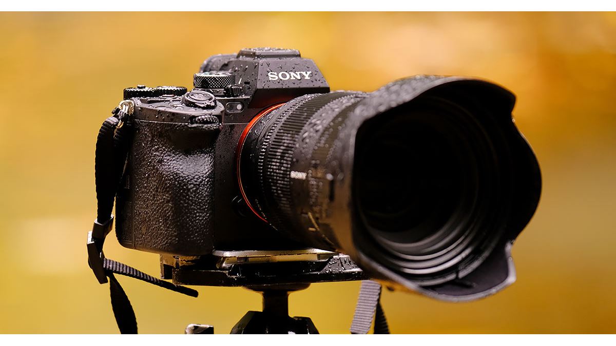 ソニー「α7R V」ファーストインプレッション、新しい6100万画素機を