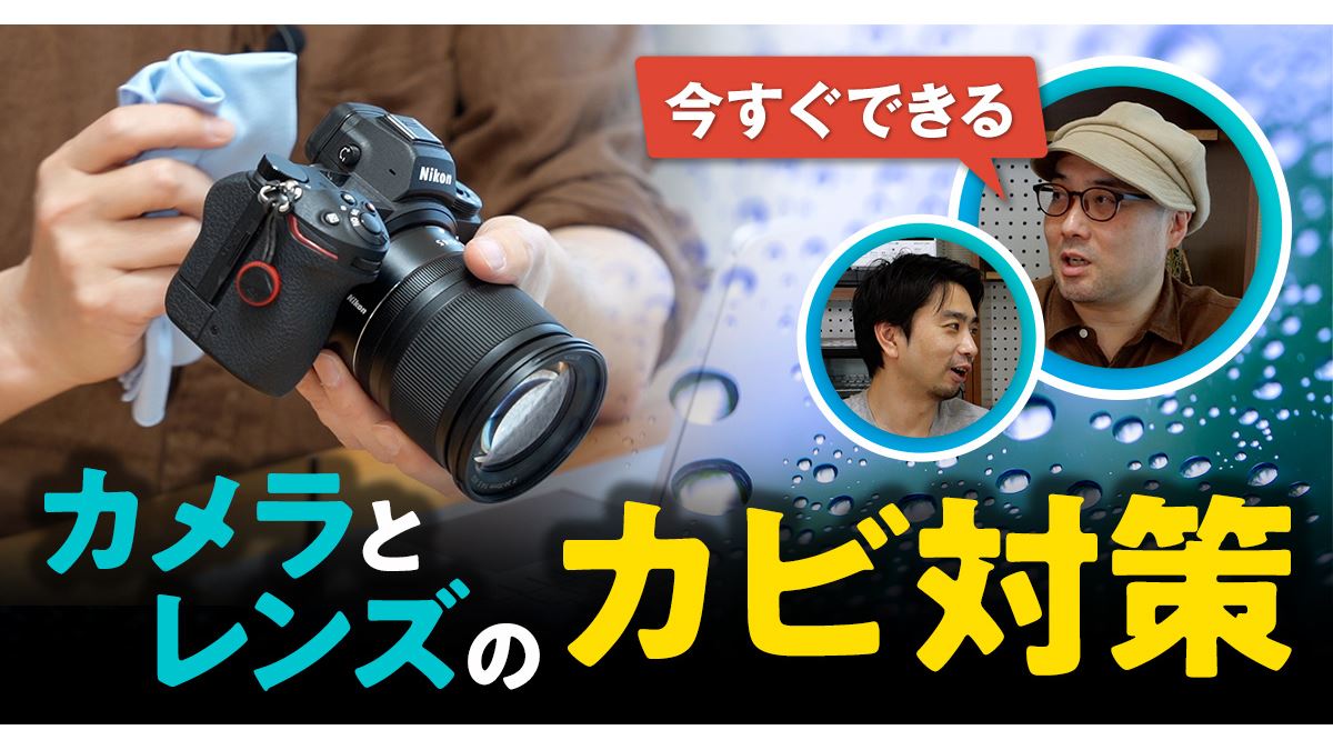 美品 Canon EF 35mm F2 キャノン AFレンズ 防湿庫保管 動作品 美品 Canon EF 35mm F2 キャノン AFレンズ 防湿庫保管 動作品 2025年