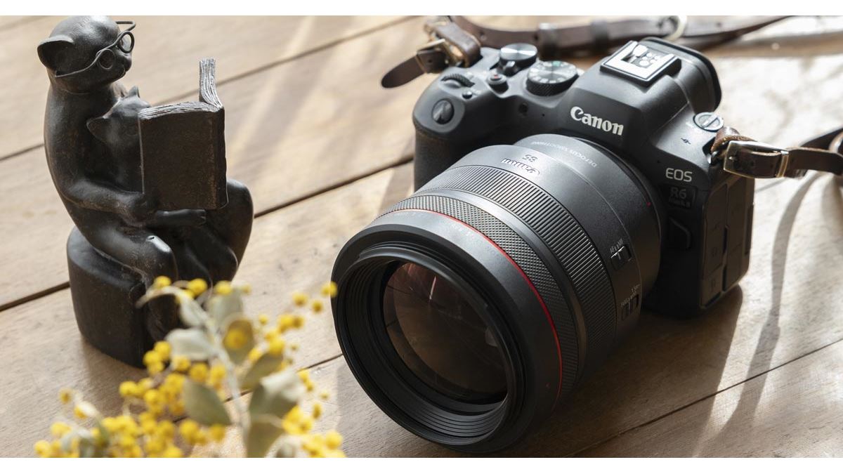 私のリアル相棒カメラ「EOS R6 Mark II」といつもと違う“目”の