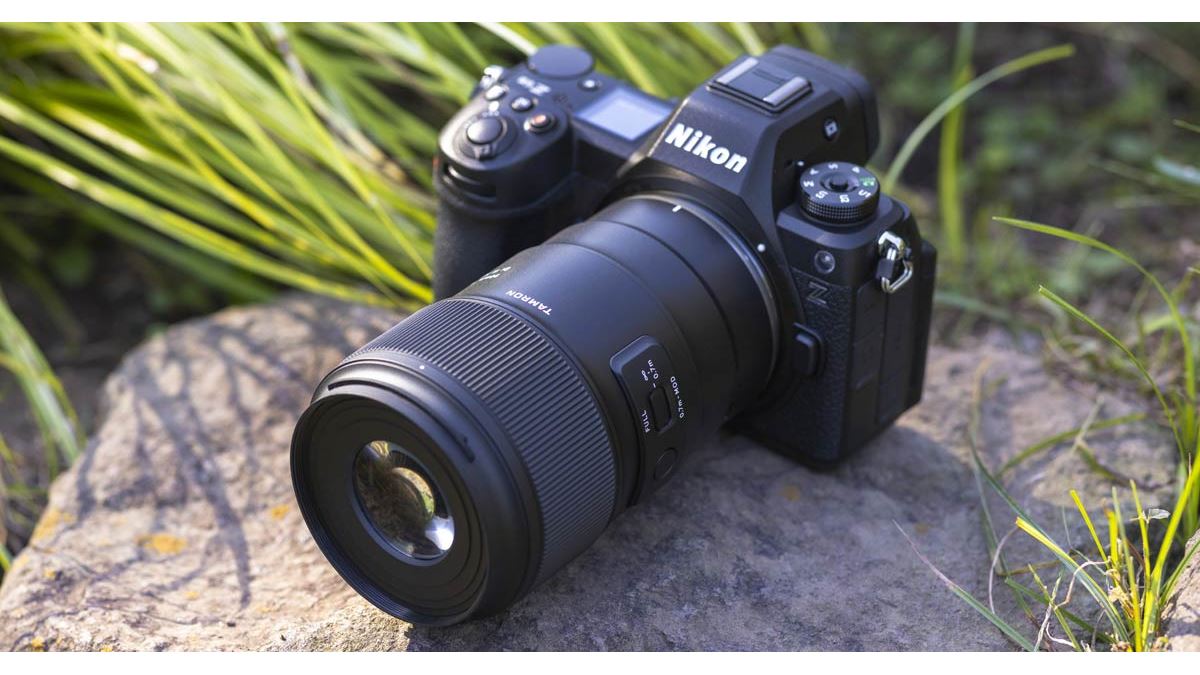 Nikon D50 デジタル一眼 タムロン 90㍉1:2.5 タムキューSP作例 Nikon D50 デジタル一眼 タムロン 90㍉1:2.5 タムキューSP作例