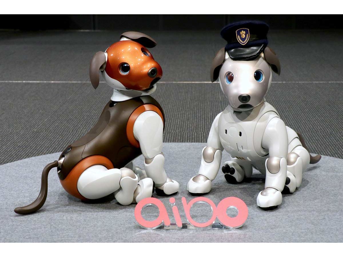 aibo」が番犬に！？ 新サービス「aiboのおまわりさん」が安心で