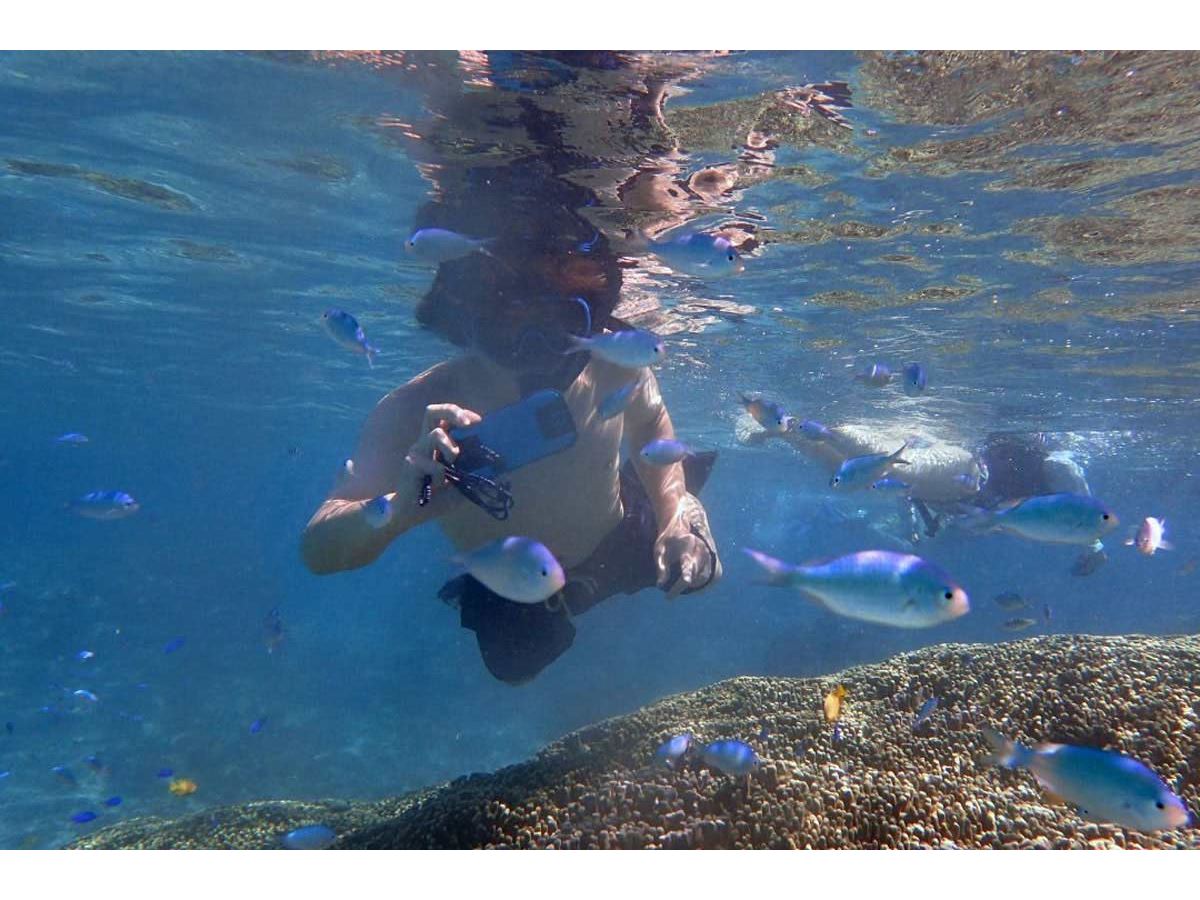 auのタフネススマホ「TORQUE G04」で海の中を撮影した！ - 価格.com