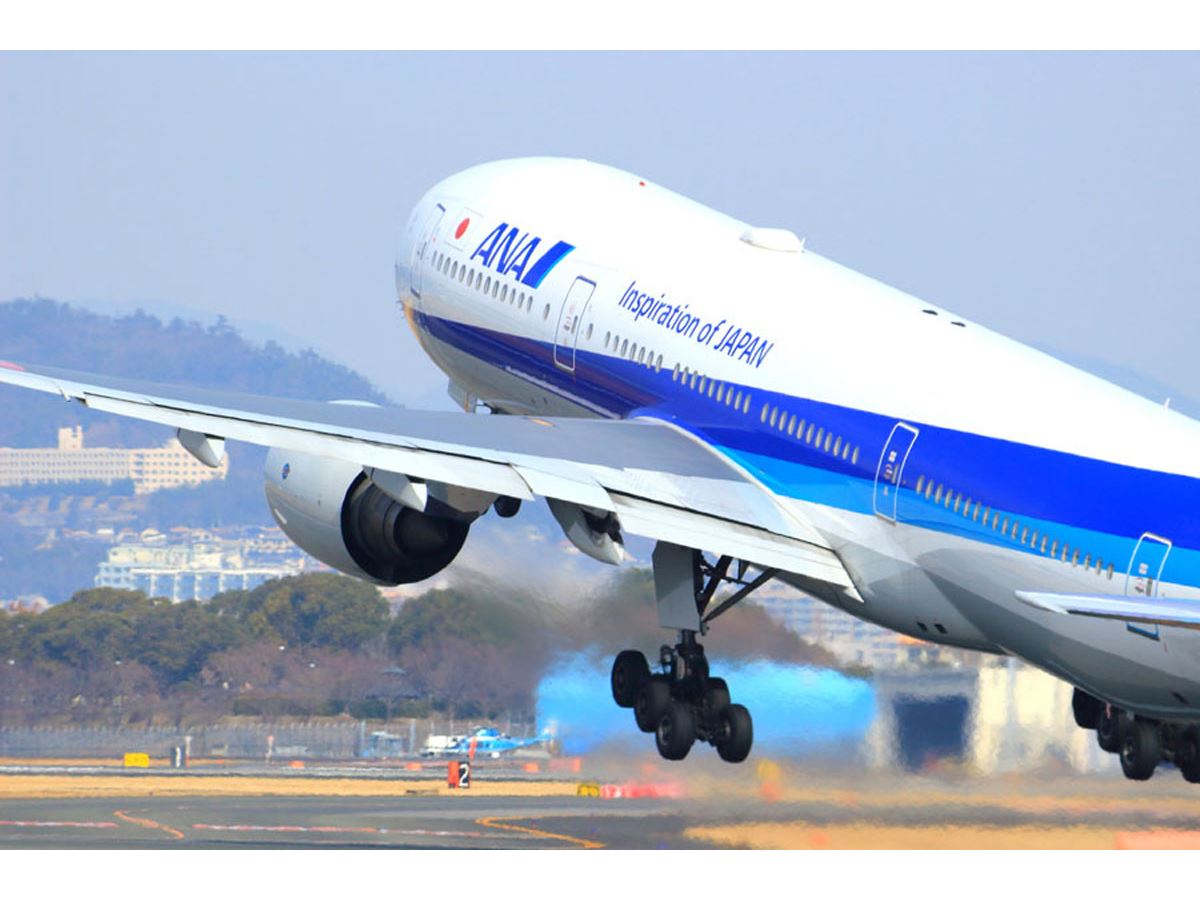 ANA 15000マイル 2日程度 加算 クレカOK マイレージ マイル数指定可 全日空(施設利用券)｜売買されたオークション情報、yahooの商品情報をアーカイブ公開  - オークファン チケット、金券、宿泊予約