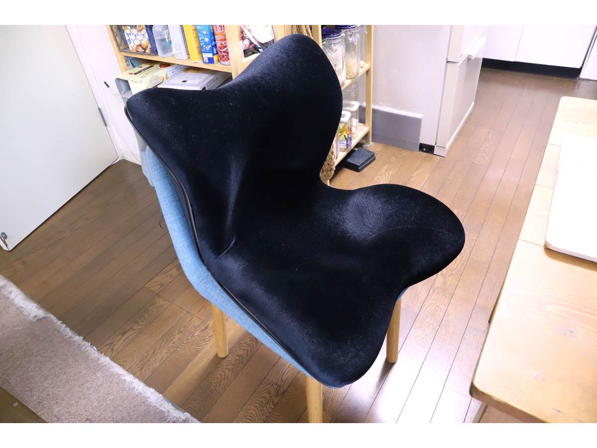 腰痛対策クッション」3製品を使い比べ！ 安いものから3万円の高級品